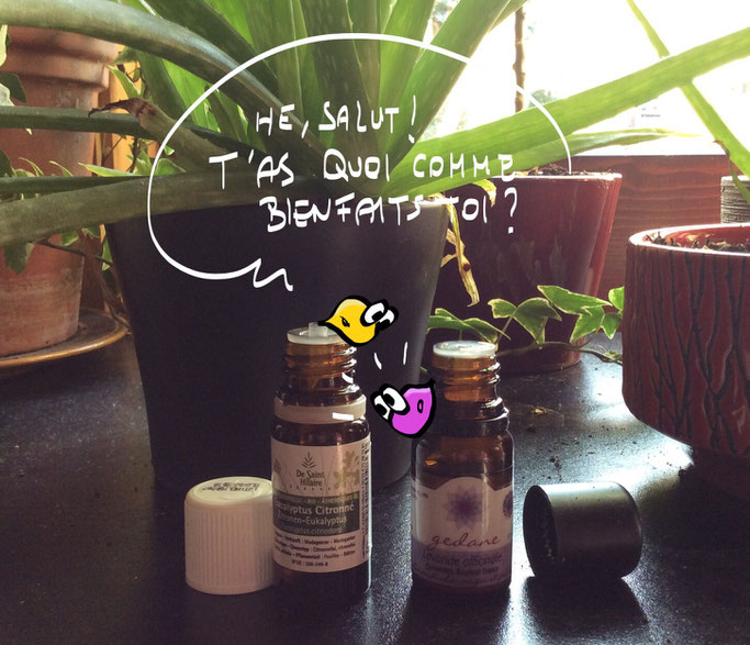 Guy La Goutte (vous ne le connaissez pas encore? cliquez sur l'image!) vous présente les Huiles Essentielles.