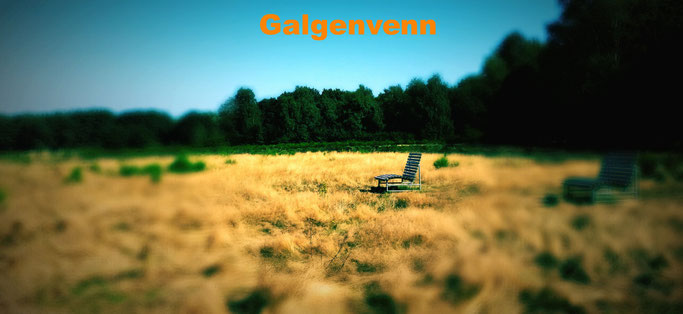 Galgenvenn Holland Venlo Sex iphone