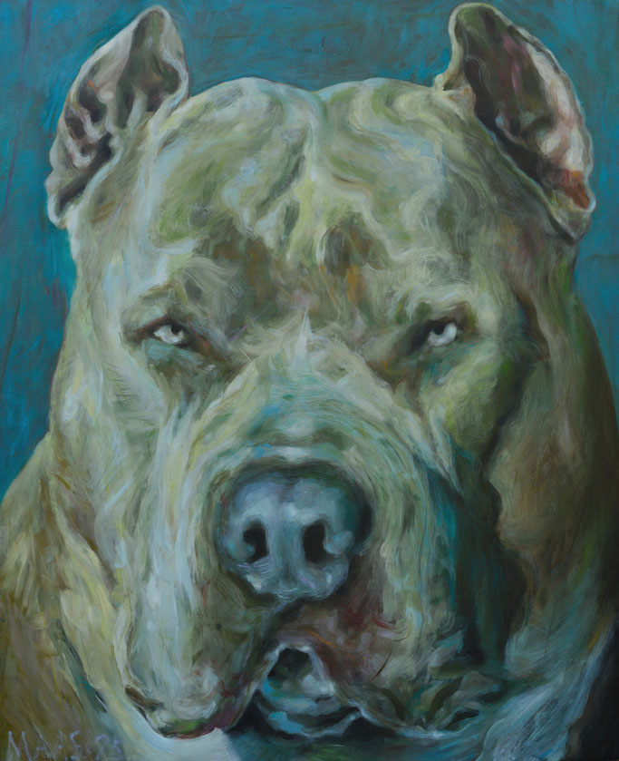 American Bully XL --- Roland Maas --- 2025