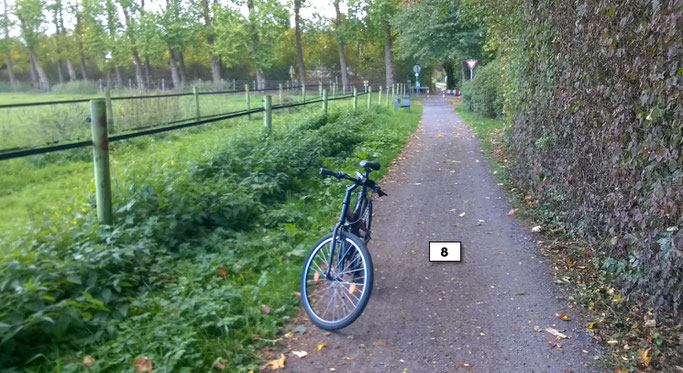 Start 2018 Rathausmarktplatz 9 00 Uhr Rost Laufseite