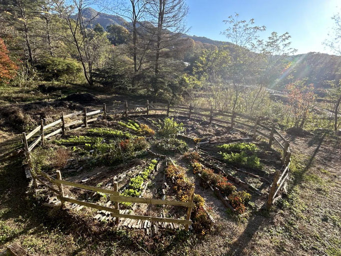 Wasserの無農薬野菜畑