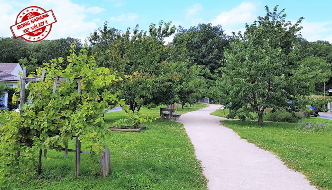 Le Jardin des Sens à Vélizy-Villacoublay.