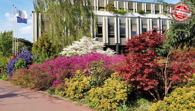Massif de fleurs devant la mairie de Vélizy-Villacoublay.