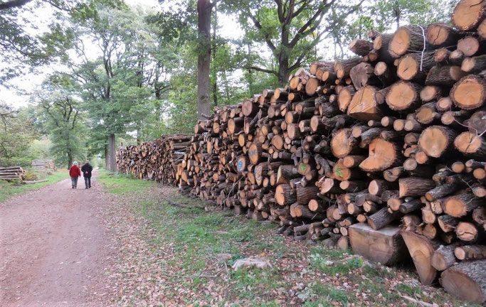 La coupe de bois massive passe mal auprès du public.