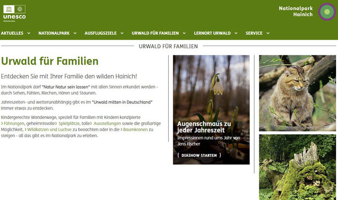 Link zu: https://www.nationalpark-hainich.de/de/ Nationalpark Hainich, UNESCO Weltnaturerbe.