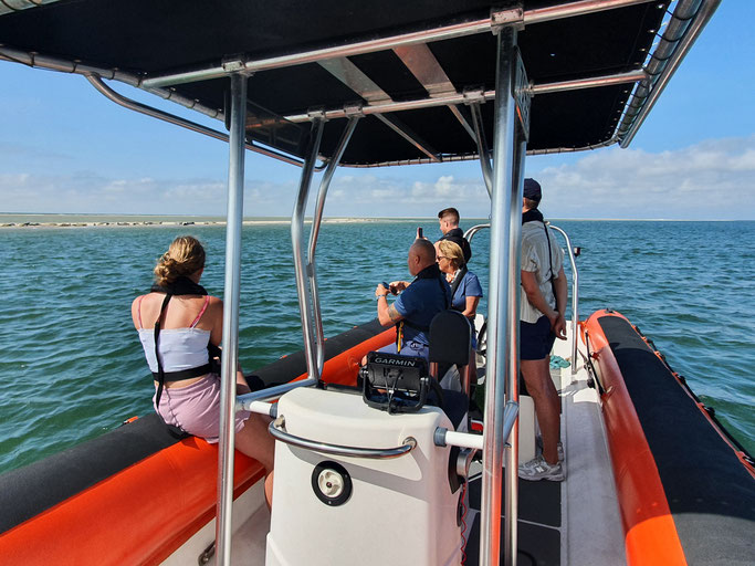 foto´s en filpjes maken vanaf de rib van de zeehonden die lekker liggen te zonnen op de zandbank 