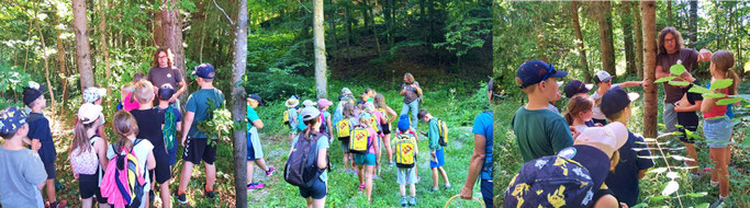 Kinderprogramm, Naturvermittlung, Spiele, Wald