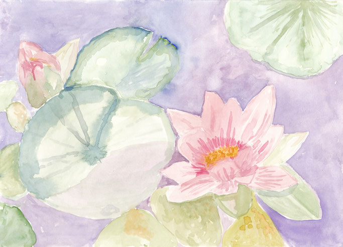 Seerose, 21x28cm, 120€