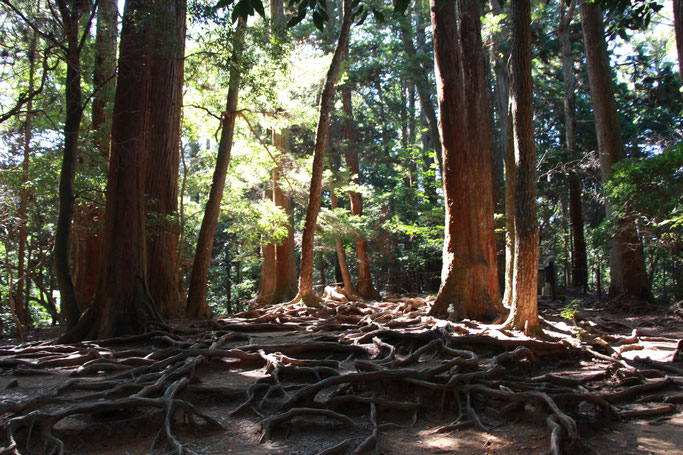 Kyoto - 5 Family Friendly Hikes - Hiking from Kurama to Kibune