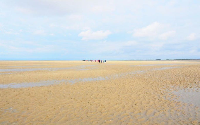 Urlaub Nordsee Amrum