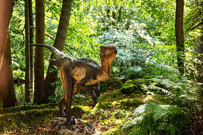 Freizeitparks Deutschland Tipps Vom Achterbahn Junkie Stadtpfade