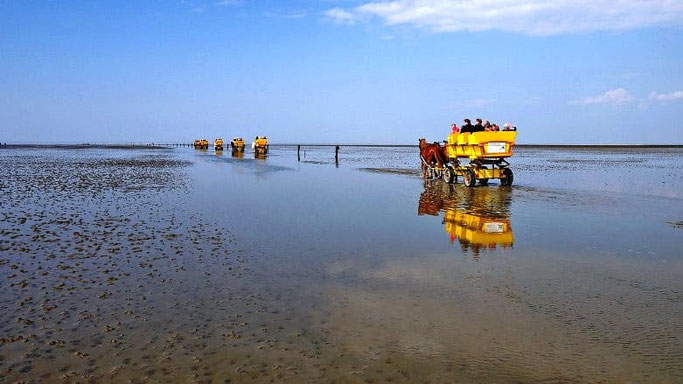 Cuxhaven Pferdekutsche