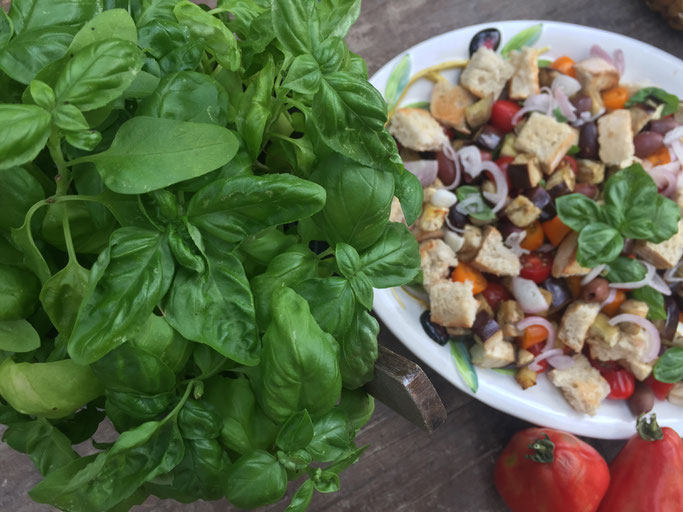 Ein lecker, leichter Brotsalat für heiße Sommertage. Ganz einfach zu zubereiten.