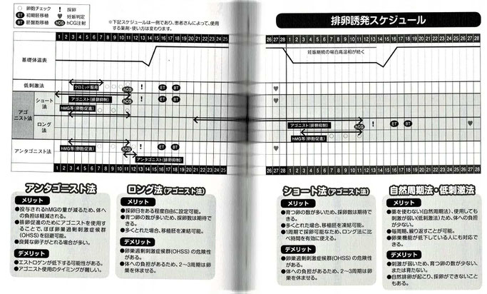 排卵誘発スケジュール