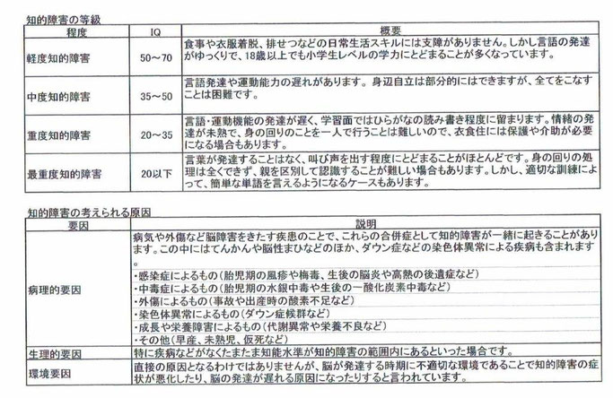 知的障害の等級と知的障害の考えられる原因