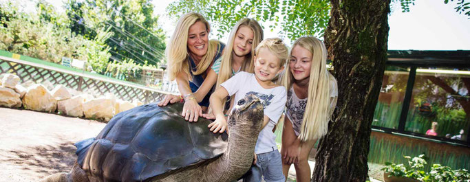 Reptilienzoo Happ in Klagenfurt am Wörthersee