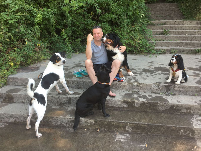 Persönliche und familiäre Hundebetreuung in Zürich