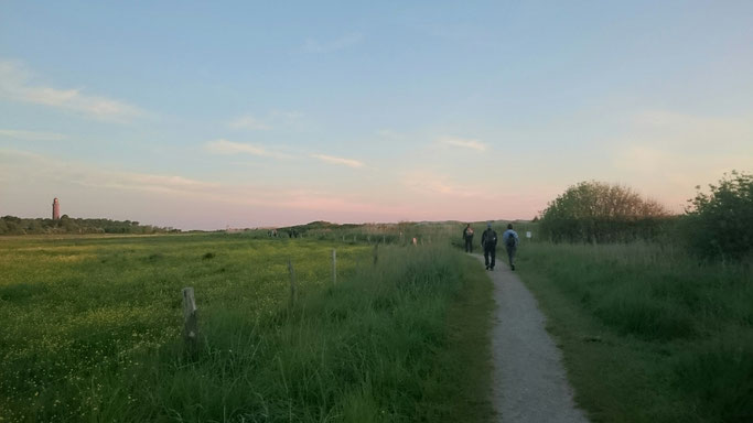 Ganz nah und doch so fern - der Leuchtturm Behrensdorf. Foto: Dörte Schmidt