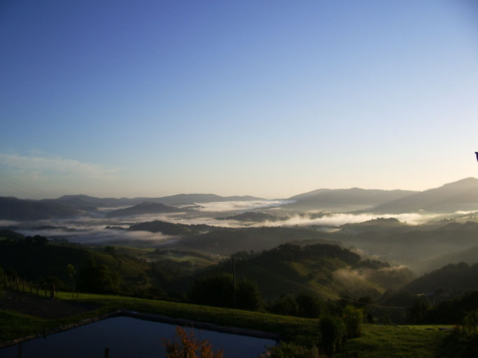 Morgennebel der sich langsam lichtet