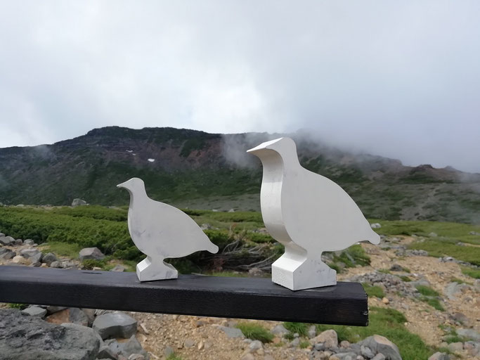 二の池ヒュッテの雷鳥サイン 奥の山は摩利支天山