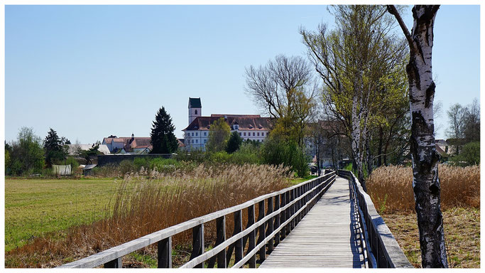 Der Federsee ist von Bad Buchau aus über einen 1,4 km langen Holzsteg zu erreichen.