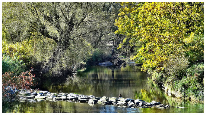 Die Günz ein kleiner Fluss bei Breitenthal