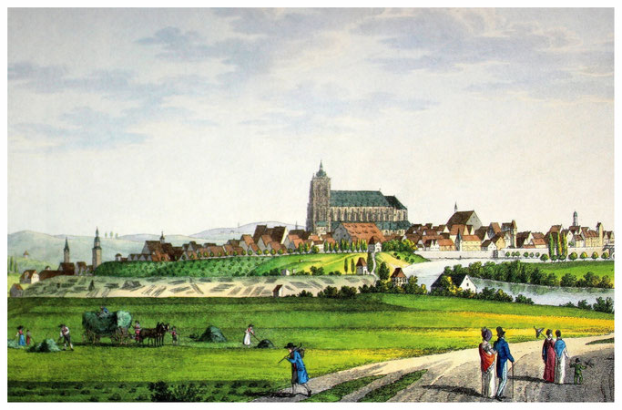 Ulm um 1840 von Süden