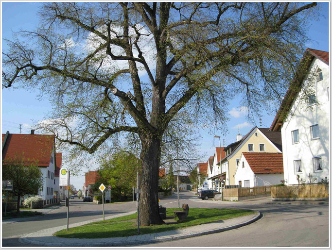 Buch 2009. Hauptstrasse und Untere Strasse.