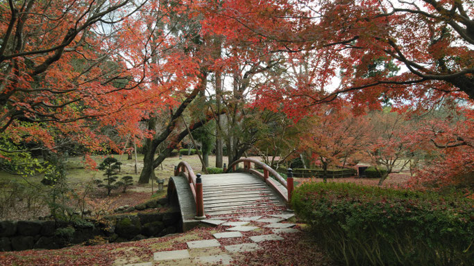 奈良春日野国際フォーラムの庭園 朱色の太鼓橋