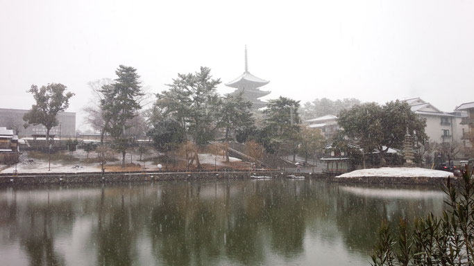 奈良公園の雪　猿沢池から興福寺五重塔を望む