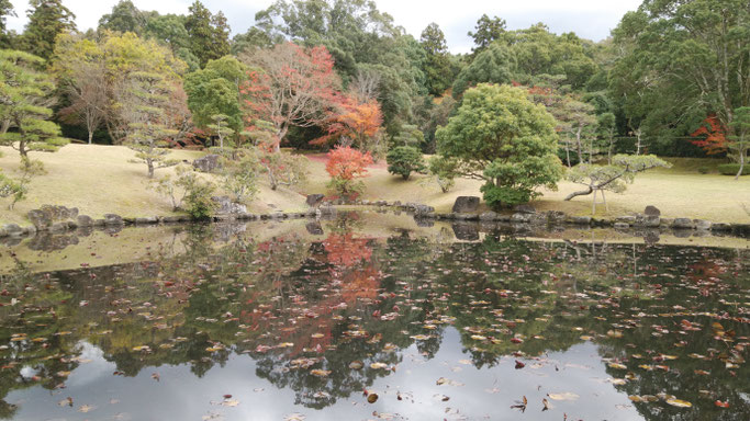 奈良春日野国際フォーラムの庭園 池がある