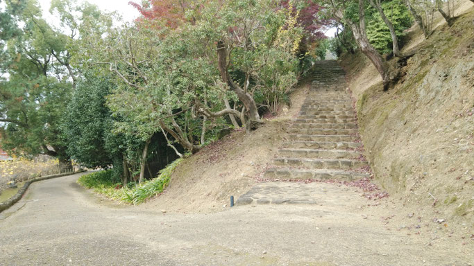 奈良春日野国際フォーラムの庭園 丘に登る階段