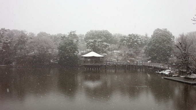 奈良公園の雪　浮見堂