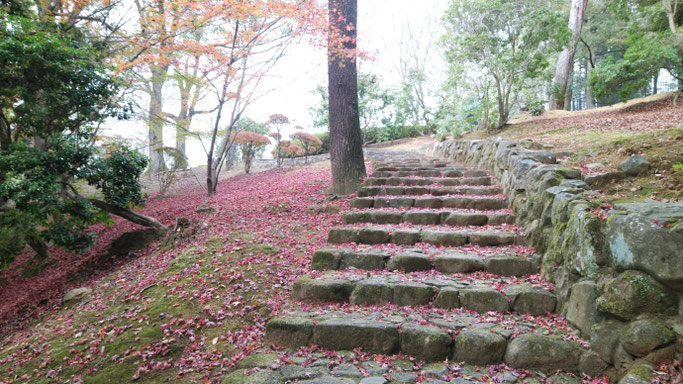 奈良春日野国際フォーラムの庭園 丘の上に続く階段