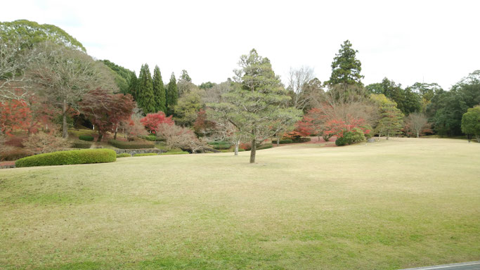 奈良春日野国際フォーラムの庭園