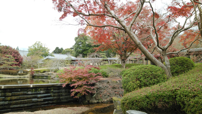 奈良春日野国際フォーラムの庭園 吉城川周辺