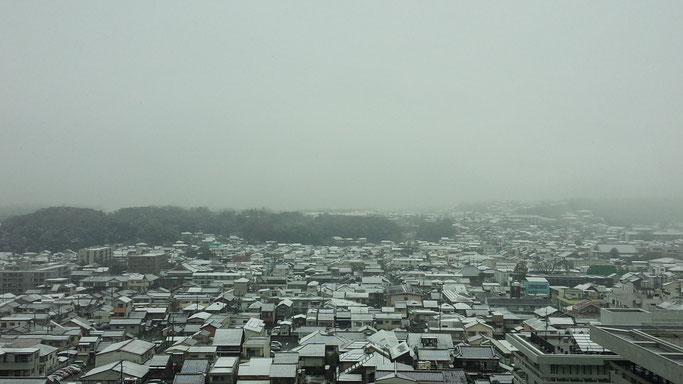 奈良公園の雪　奈良県庁屋上よりきたまち方面を望む