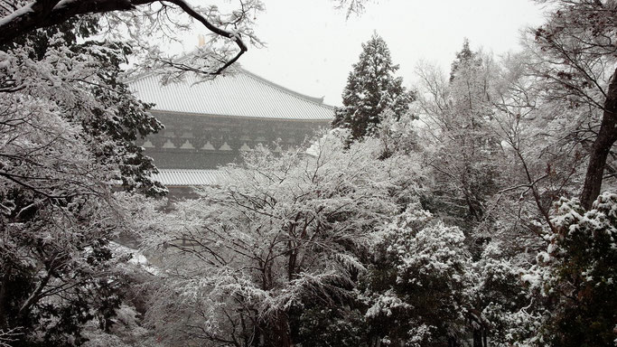 奈良公園の雪　東大寺境内