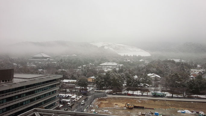 奈良公園と若草山の雪の様子　2017年2月撮影