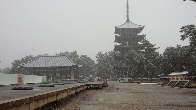 奈良公園の雪　興福寺境内