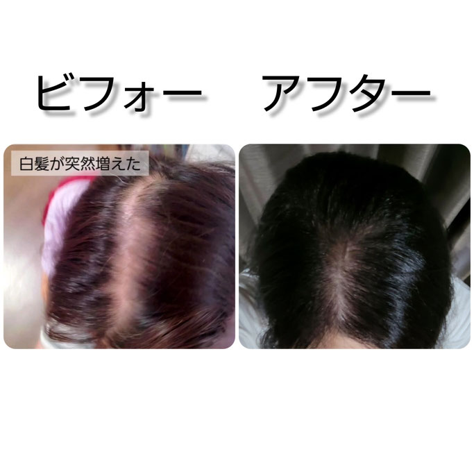 健康美ラインエクササイズ　朝美人パワーストレッチ