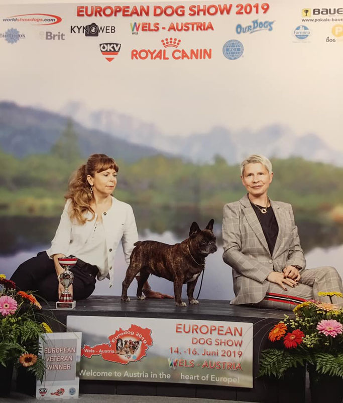 Veteranan Europasieger 2019 Berenice la Reine d'Ovilava