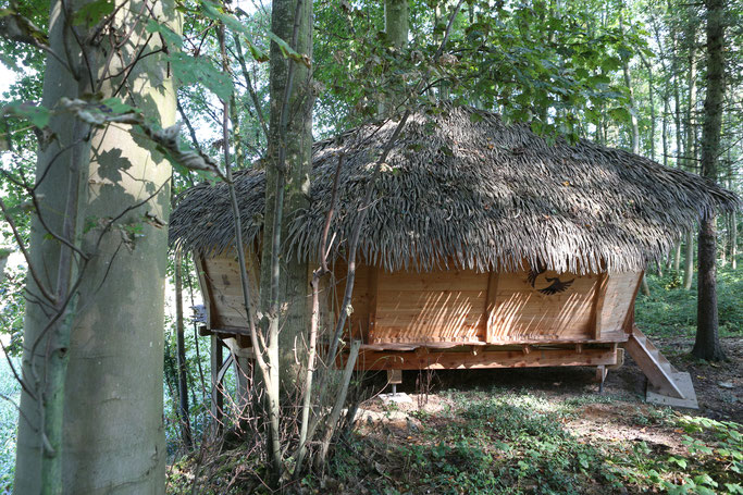 Spend a night in the romantic treehouse with your family!