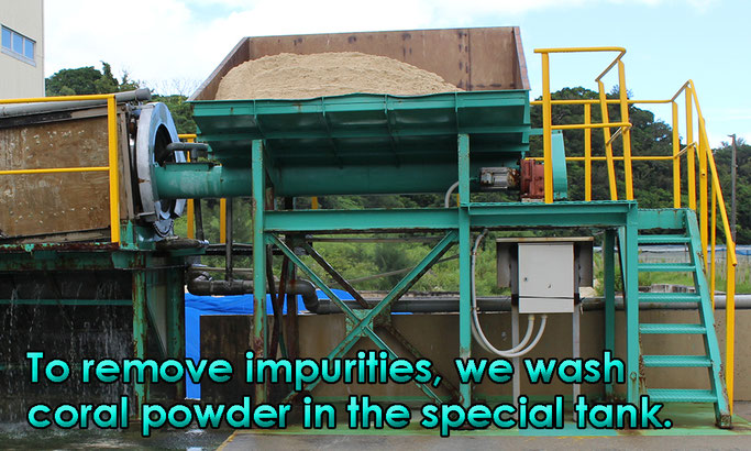 To remove impurities, we wash coral powder in the special tank.