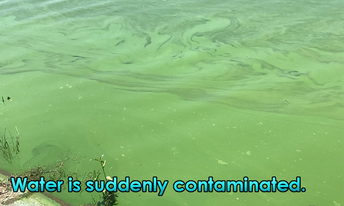 Water is suddenly contaminated.