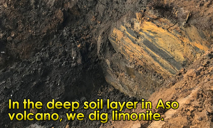 In the deep soil layer in Aso volcano, we dig limonite.