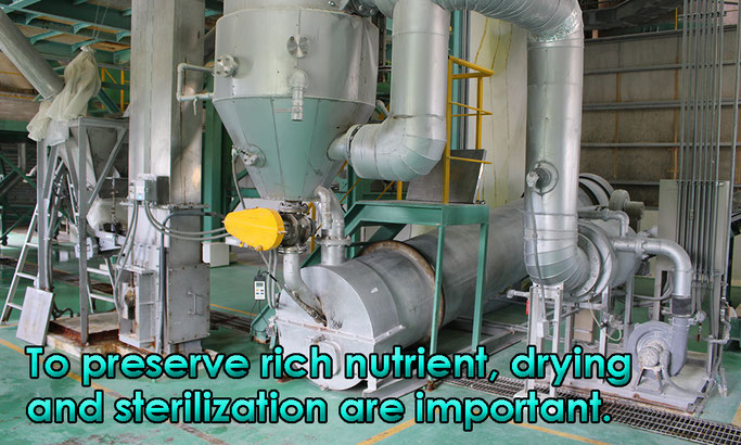 To preserve rich nutrient, drying and sterilization are important.