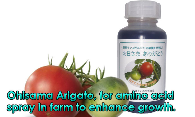 Ohisama Arigato, for amino acid spray in farm to enhance growth.