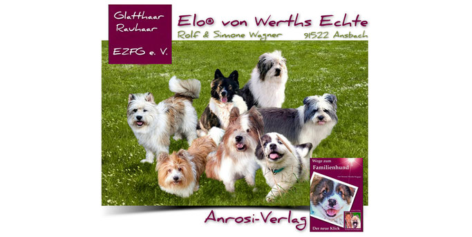Hundeschule - Welpenschule - Buch über Verhalten und Erziehung