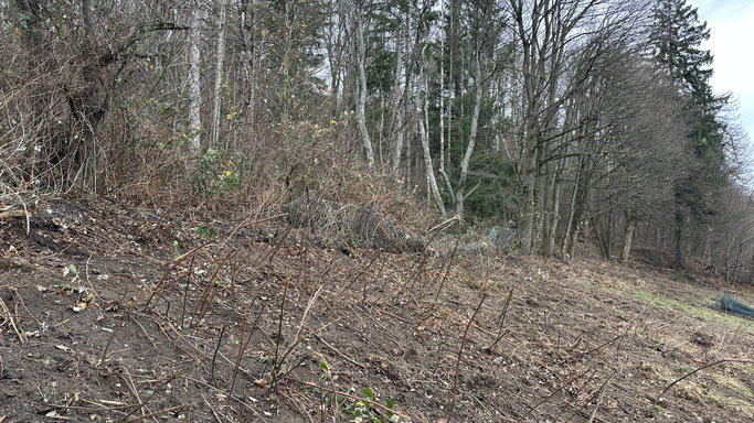 Abzubauender Maschendrahtzaun
